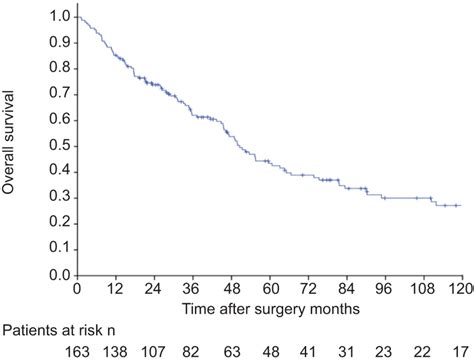 Stage 3 Lung Cancer Survival Rate - CancerWalls