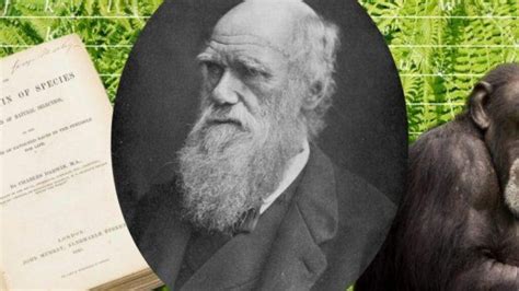 La Teoría De Darwin El Origen De Las Especies