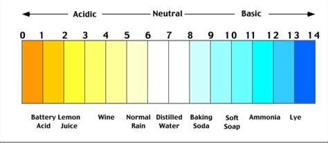 acid and base scale - STEM Education Guide