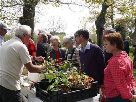 Bourse Aux Plantes De Printemps