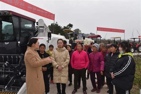 重庆市巴南区妇联开展“巾帼培训进乡村”活动澎湃号·政务澎湃新闻 The Paper