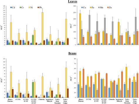 Mean Concentrations Of Cd Cr Cu Fe Mn Ni Pb Y Zn In Cacao Leaves