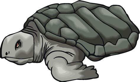 Cartoon Snapping Turtle | Free download on ClipArtMag