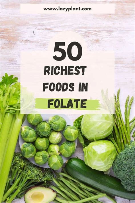 A List Of Top Foods High In Folate Folic Acid Lazyplant