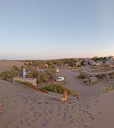 Bahía Creek Playas Inmensas Vecinas Miran Como Vacas Y La Magia Del Camino De La Costa