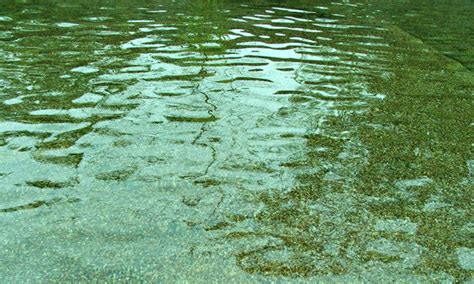 Pond Water Textures