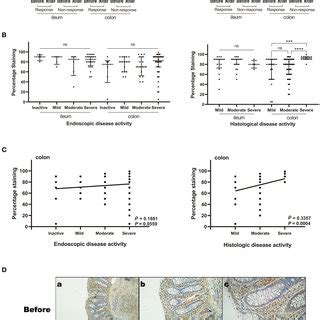 | The relative ACE2 protein expression in intestinal mucosal biopsy ...