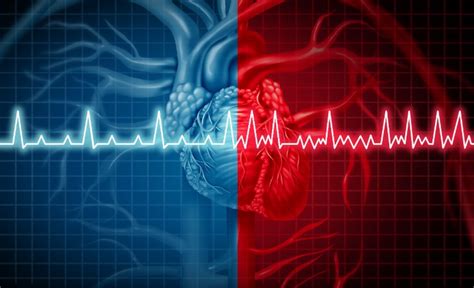 Heart Rates Understanding A Heart Rate Chart And What A Normal Pulse Rate Is Plusvitality