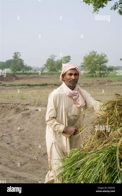 Multan pakistan hi-res stock photography and images - Alamy