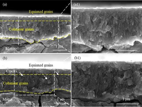 Figure 5 From Effects Of Hydrogenation On The Corrosion Behavior Of