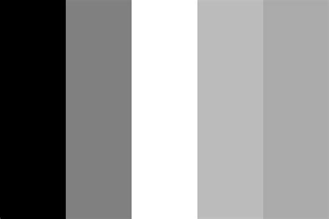 blackgraywhi Color Palette