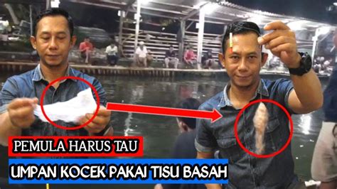 UMPAN LELE GALATAMA PAKAI TISU BASAH YouTube