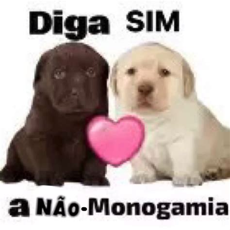 Não Monogamia In 2024 Memes Funny Memes Dankest Memes