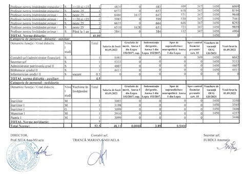 Transparența veniturilor salariale Școala Gimnazială nr 40 AUREL VLAICU