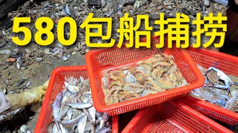 许晓东帅哥花580包船捕捞，收获几筐海货，大家觉得划算吗【豪哥深海捕捞】 Youtube