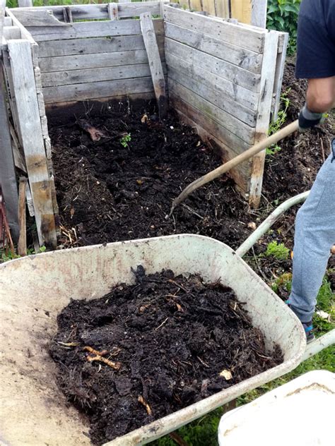 Comment Utiliser Le Fumier Au Potager Au Refuge Des Graines