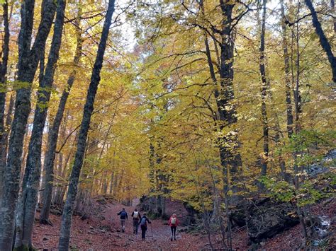 La Catena Del Pollino Vista E Ammirata Da Sud Novembre