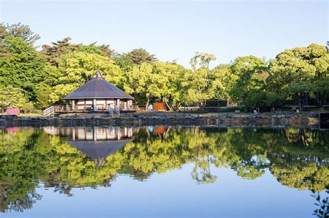 10 Best Things to Do in Chiba - What is Chiba Most Famous For? – Go Guides