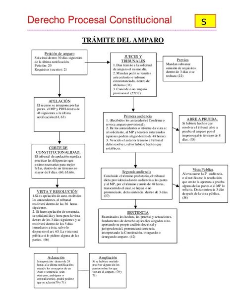 4 Esquema Amparo Ley De Amparo