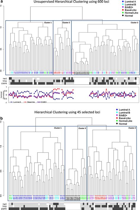 DNA Methylation Patterns In Luminal Breast Cancers Differ From Non