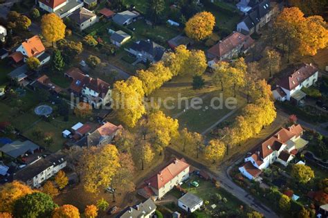 Hennigsdorf von oben Herbstlich gold gelb gefärbte Baumreihen in der