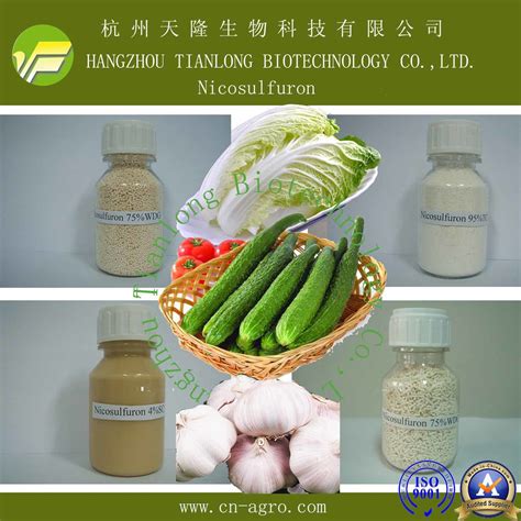 Highly Effective Herbicide Nicosulfuron Tc Wp Wdg Of