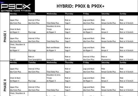 The Trek Xtreme New Hybrid Workout P90x And P90x