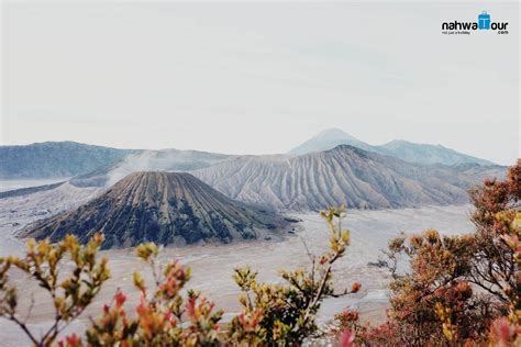 Paket Wisata Bromo Batu Malang Hari Malam Nahwa Tour