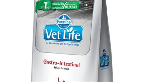 Vet Life Gastro Intestinal Gato 2 Kg MascotasDS