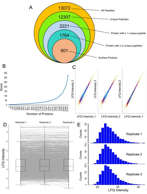 Cell Surface Capture Workflow For Label Free Quantification Of The