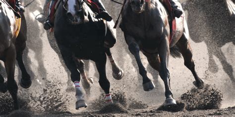 高知競馬全レース無料予想 2月27日（火） 五色の浜特別ほか 高知競馬 地方競馬 競馬 最強競馬ガジェット｜中央競馬も地方競馬も毎日