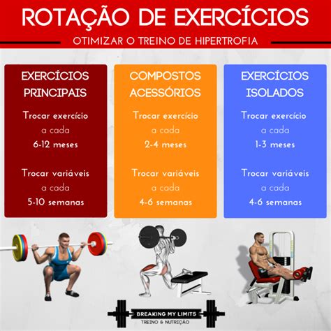 Quantos exercícios por treino para hipertrofia