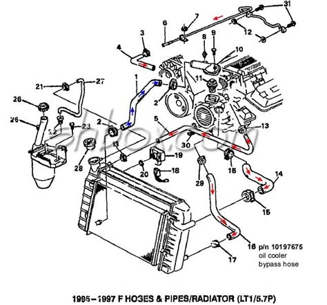 Car Radiator Hose Diagram