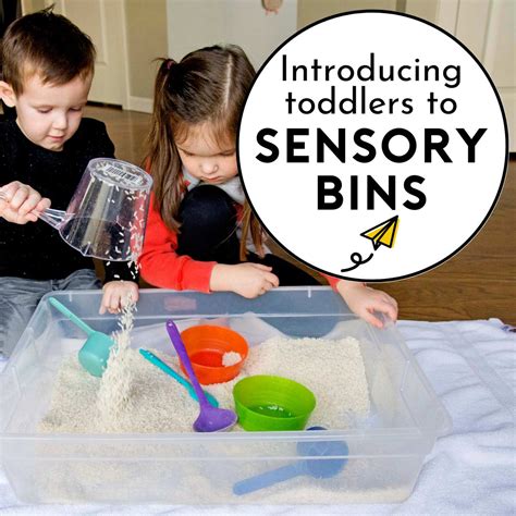 Sensory Bins for Toddlers - Busy Toddler - Sunshine Billingual The Blog