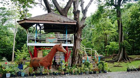 Calapan Nature Park Travel Oriental Mindoro