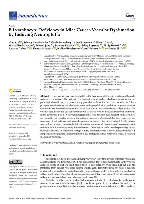 Pdf B Lymphocyte Deficiency In Mice Causes Vascular Dysfunction By