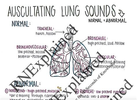 Auscultating Lung Sounds nursing Study Sheets - Etsy