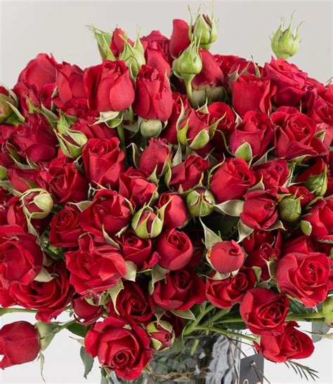 Red Baby Roses Flower Arrangement In Riyadh Joi Ts