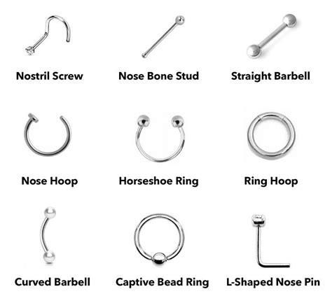 Beginner Nose Piercing Chart