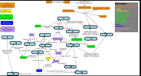 Biology Concept Map Examples