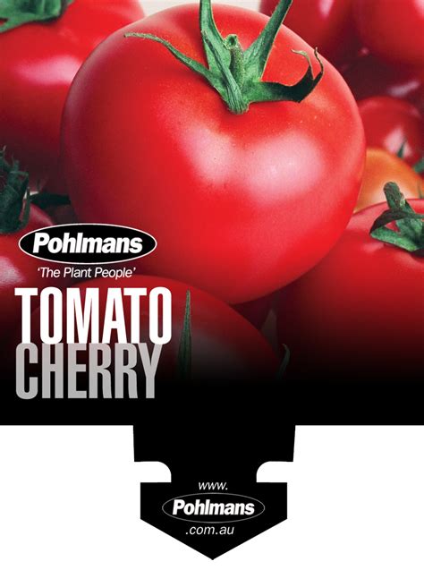 qsv pohlmans  plant people phone