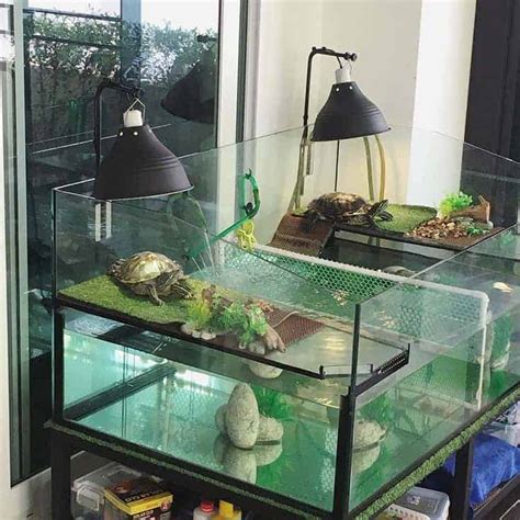 Turtle Tank Ideas Installation Guide And Habitats Aquarium Tips