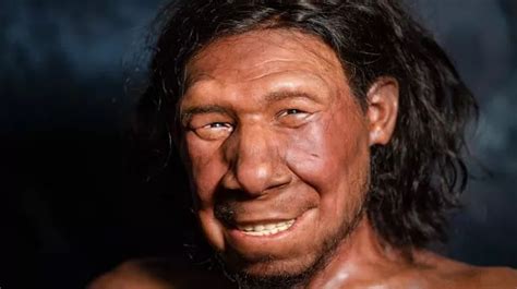 Six Indicators That Show You Have Neanderthal Dna According To