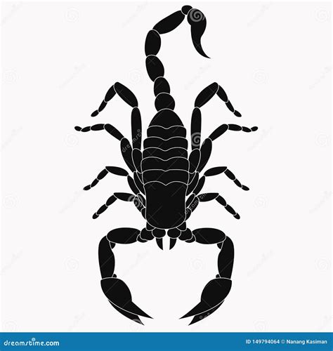 Scorpion Vector Line Contour Illustration Isolated On White Background