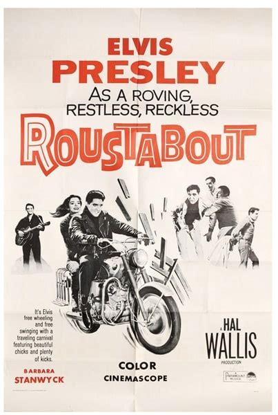 Picture Of Roustabout