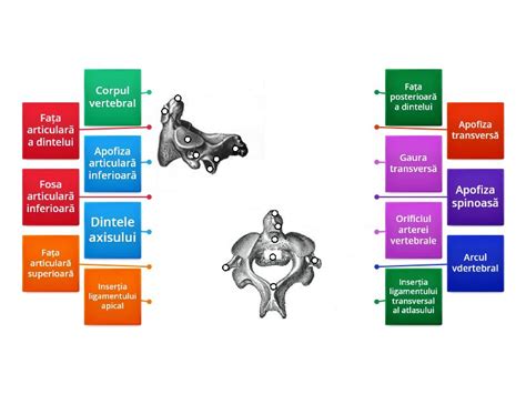 axis labelled diagram