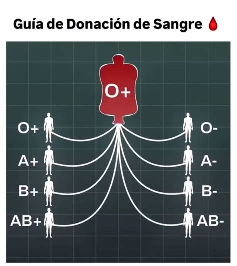 Qual Sangue Pode Receber De Todos - Sangue Que Recebe De Todos
