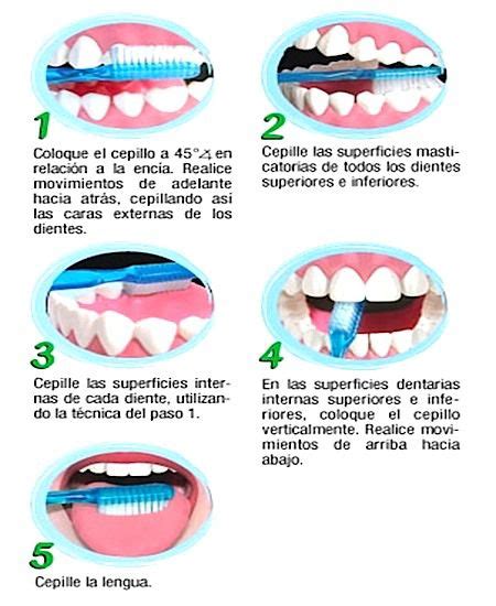 Consejos Sobre Cuando Cepillarse Los Dientes Blog De Farmacia