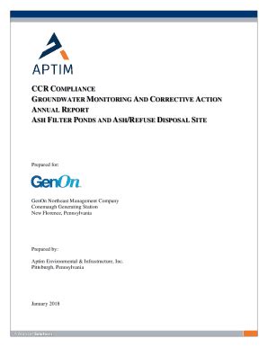 Fillable Online CCR Rule Compliance Data And Information Fax Email