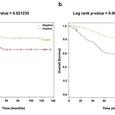 Kaplan Meier Survival Curves A Disease Free Survival Dfs And B Download Scientific